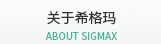 关于希格玛 ABOUT SIGMAX