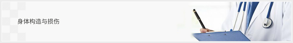 身体构造与损伤